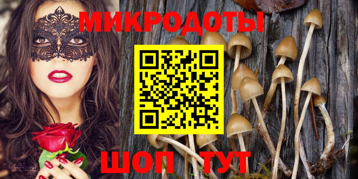 Печора  Псилоцибиновые грибы мицелий  Вход с VPN 